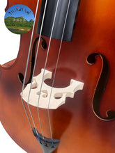 Load image into Gallery viewer, 3 / 4-upright Double Bass Plywood Handmade Instrument - Cello