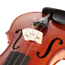 Load image into Gallery viewer, 4/4 Violin Spruce Solid Wood Professional Performance Teaching Violin