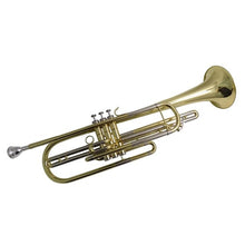 Load image into Gallery viewer, Nickel Musical Instruments | Nickel Bass Trumpet | Trumpet Case - Bb