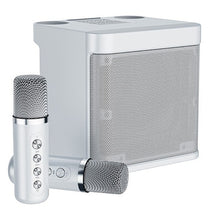 Load image into Gallery viewer, Dual Microphone Karaoke Machine for Adults and Kids Portable Bluetooth