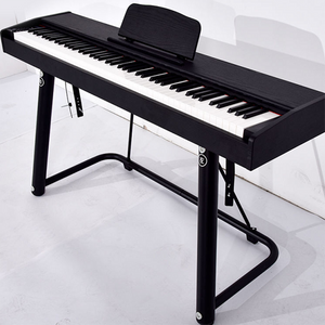 Learn Electric Piano Keyboard Adults Easycontrol Acoustic Professional