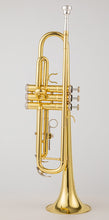 Load image into Gallery viewer, Trumpet B Flat Case | B Flat Trumpet Music | Musical Instruments |