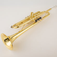 Load image into Gallery viewer, Trumpet B Flat Case | B Flat Trumpet Music | Musical Instruments |