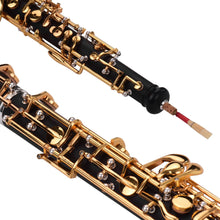 Load image into Gallery viewer, Oboe Professionals Instruments | Leather Woodwind Instrument | Leather