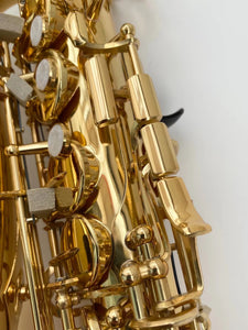 Professional Musical Instruments | Professional Alto Saxophone -