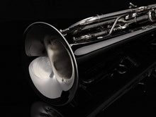 Load image into Gallery viewer, Professional B Flat Trumpet Musical Instrument Trumpet Brass