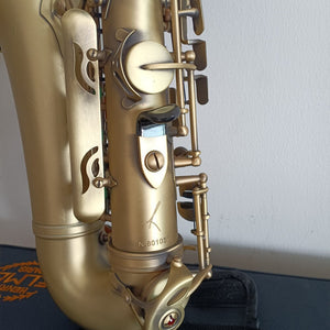 Professional Super Action R54 Saxophone Antique copper Alto Full