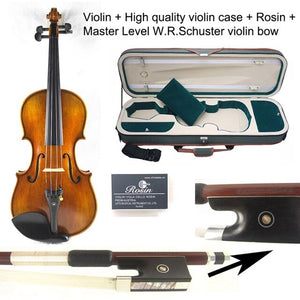 Stradivarius Professional 4/4 Violin | Professional Musical Instrument