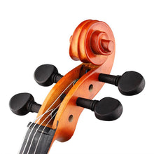 Load image into Gallery viewer, Viola 4/4 Acoustic Kit With Case Bow Rosin Wiping Rag For Beginners