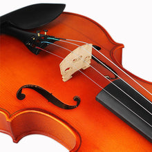 Load image into Gallery viewer, Viola 4/4 Acoustic Kit With Case Bow Rosin Wiping Rag For Beginners